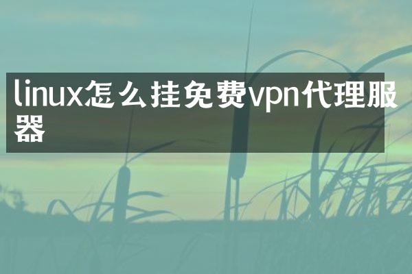 linux怎么挂免费vpn代理服务器