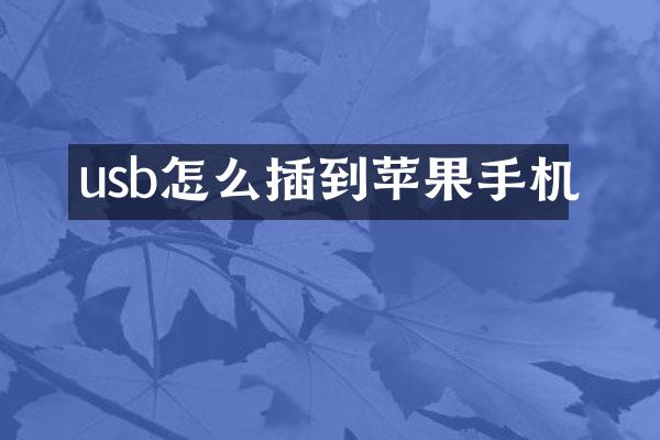 usb怎么插到苹果手机