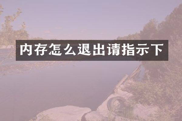 内存怎么退出请指示下