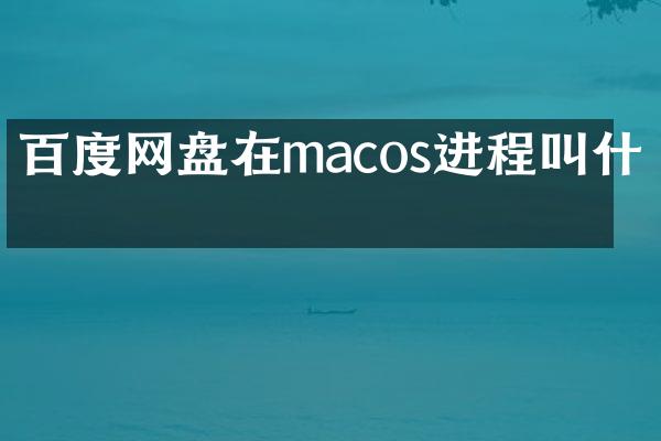 百度网盘在macos进程叫什么