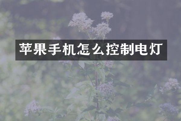 苹果手机怎么控制电灯