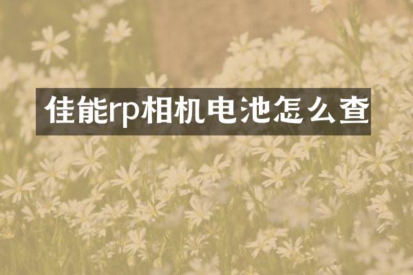 佳能rp相机电池怎么查