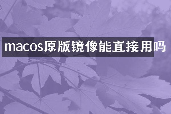 macos原版镜像能直接用吗