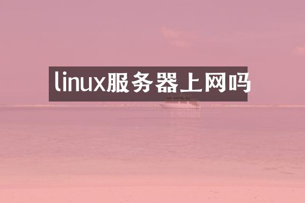 linux服务器上网吗