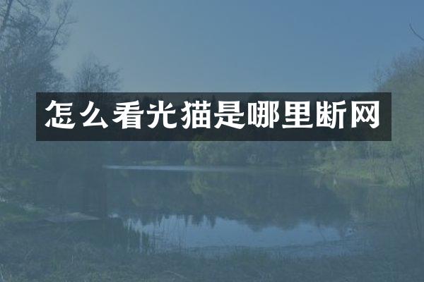 怎么看光猫是哪里断网