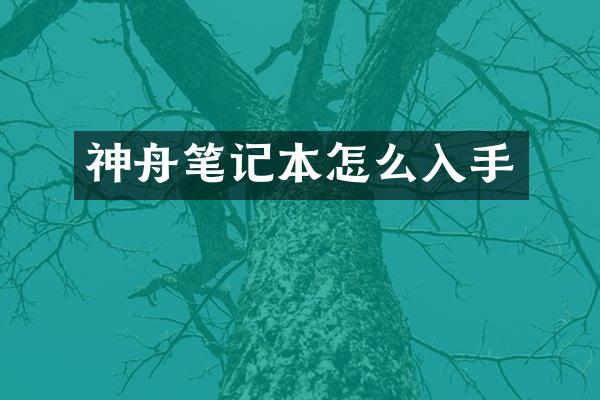 神舟笔记本怎么入手