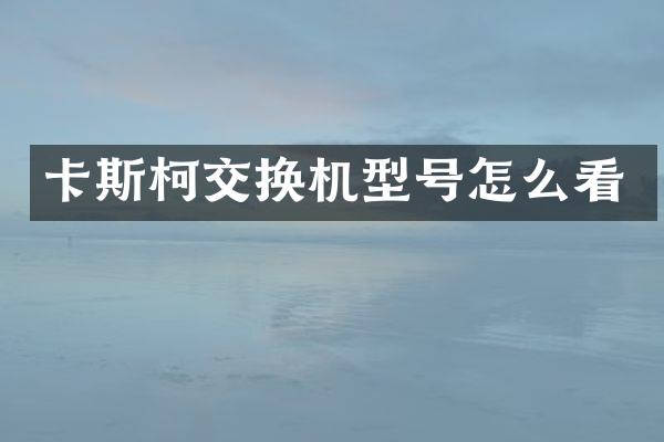 卡斯柯交换机型号怎么看