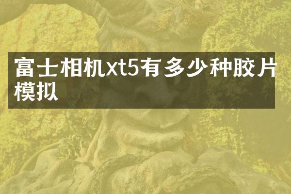 富士相机xt5有多少种胶片模拟