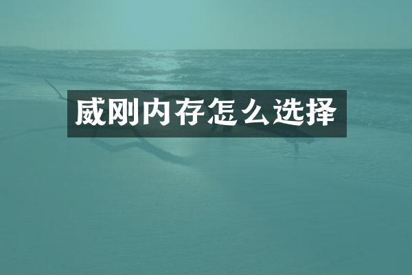 威刚内存怎么选择