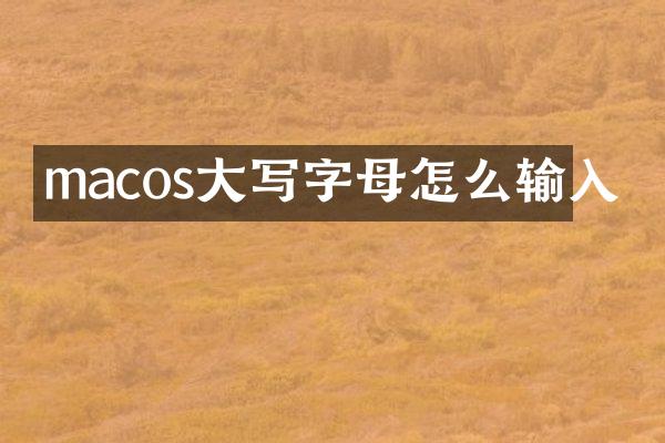 macos大写字母怎么输入