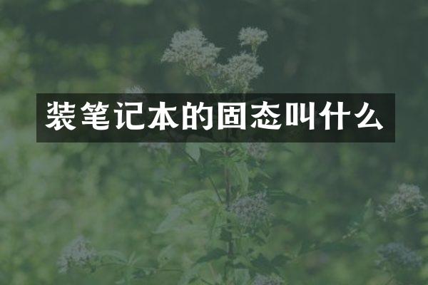 装笔记本的固态叫什么