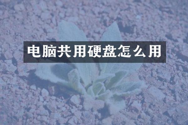 电脑共用硬盘怎么用