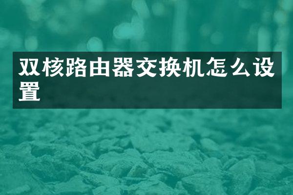 双核路由器交换机怎么设置