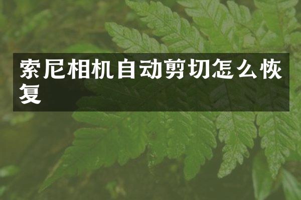 相机自动剪切怎么恢复