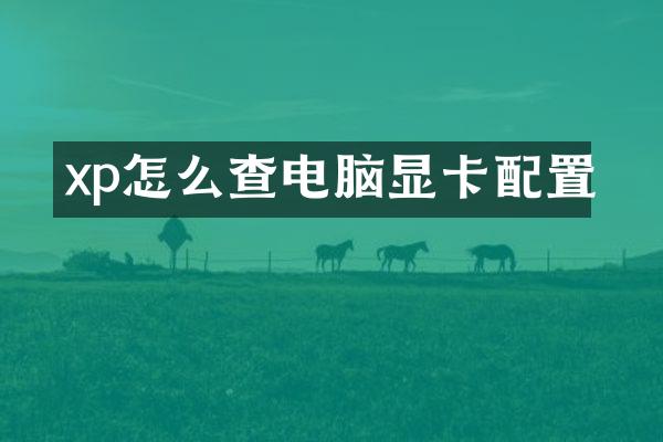xp怎么查电脑显卡配置
