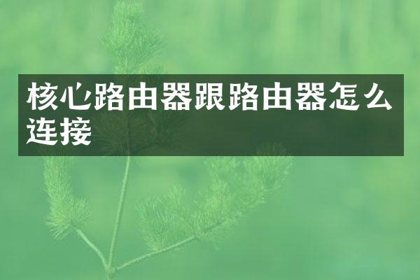 核心路由器跟路由器怎么连接