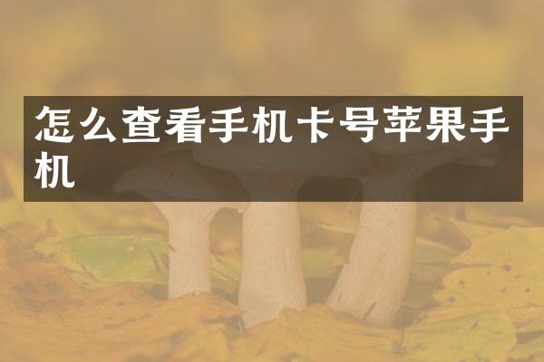 怎么查看手机卡号苹果手机