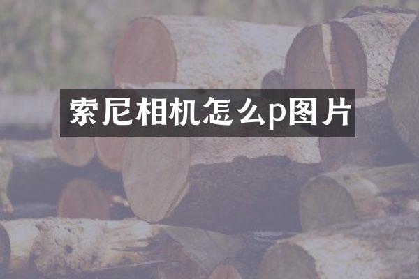 相机怎么p图片