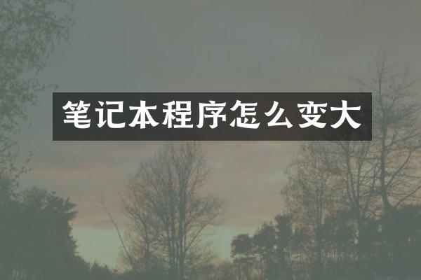笔记本程序怎么变大