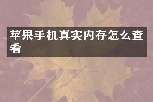 苹果手机真实内存怎么查看