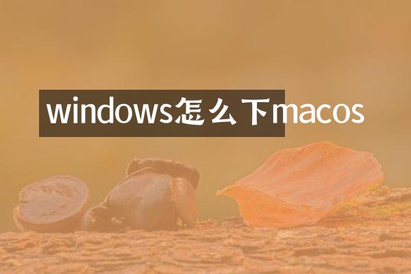 windows怎么下macos