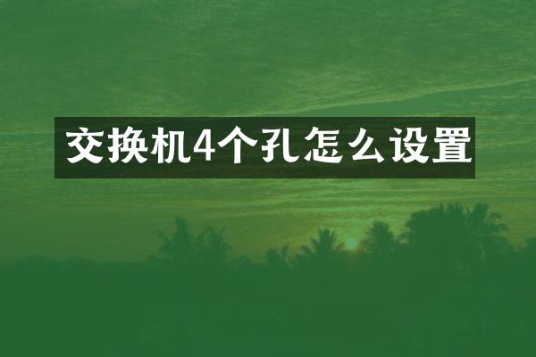 交换机4个孔怎么设置