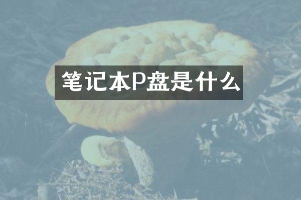 笔记本P盘是什么