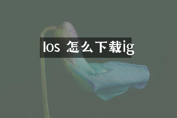 Ios 怎么下载ig
