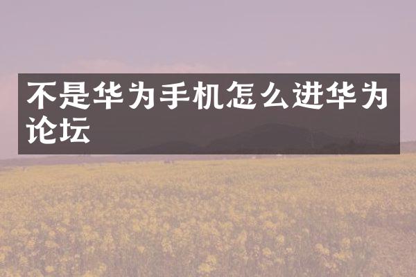 不是华为手机怎么进华为论坛