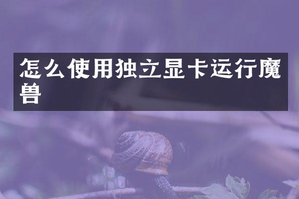 怎么使用独立显卡运行魔兽