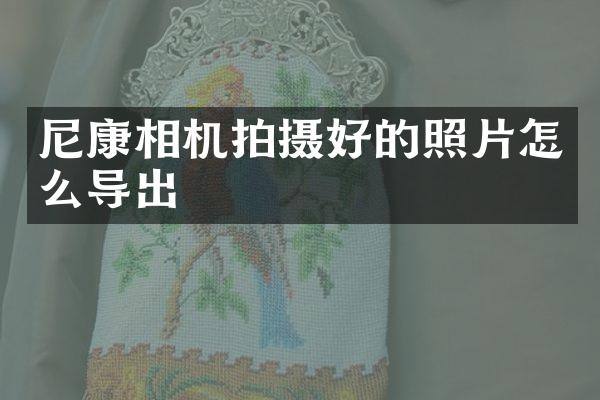 尼康相机拍摄好的照片怎么导出