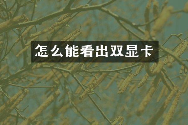 怎么能看出双显卡