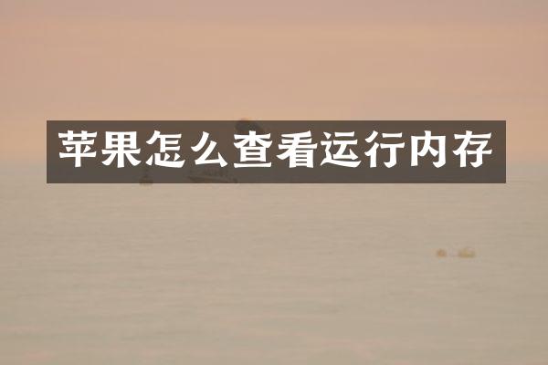 苹果怎么查看运行内存