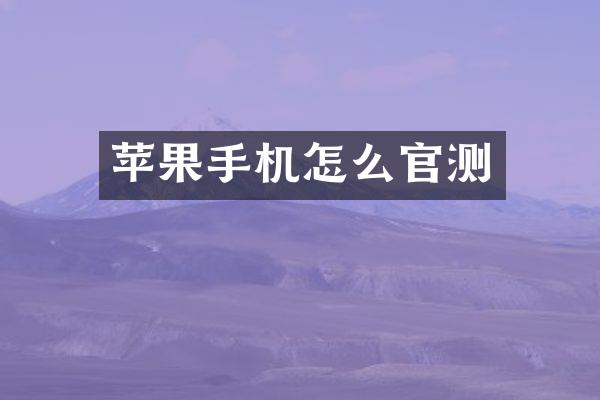 苹果手机怎么官测