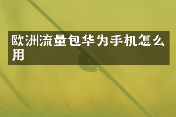 欧洲流量包华为手机怎么用