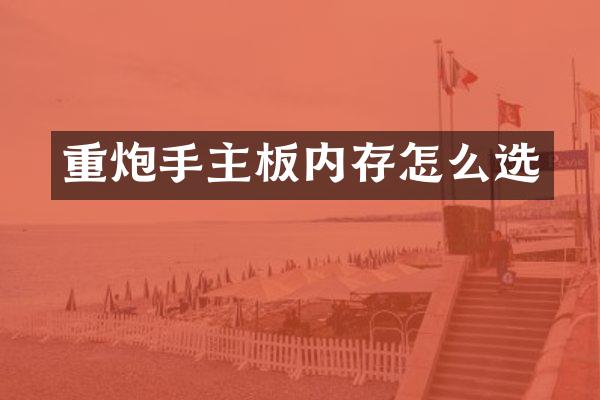 重炮手主板内存怎么选