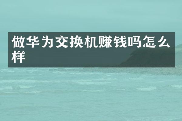 做华为交换机赚钱吗怎么样