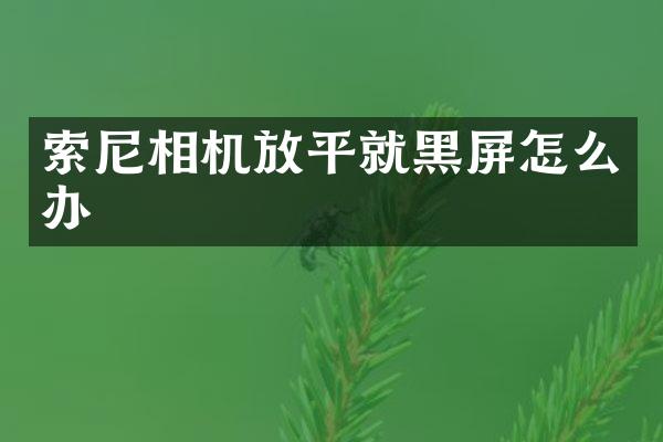 相机放平就黑屏怎么办
