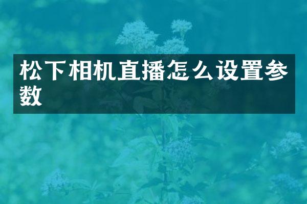 相机直播怎么设置参数