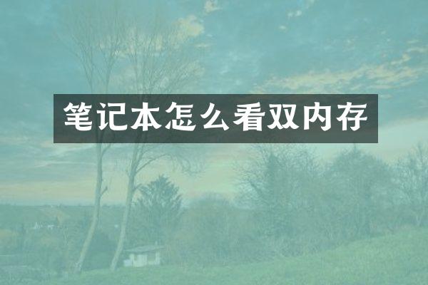 笔记本怎么看双内存