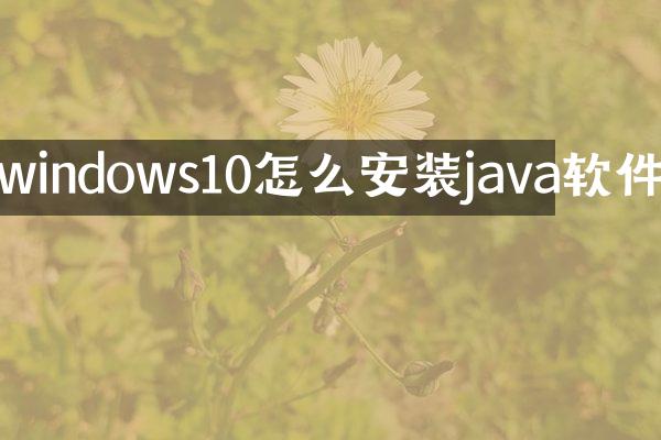 windows10怎么安装java软件