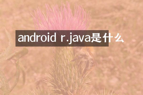 android r.java是什么
