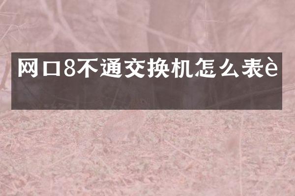 网口8不通交换机怎么表达