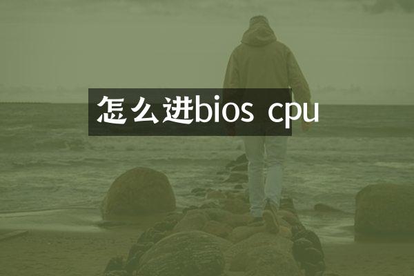 怎么进bios cpu