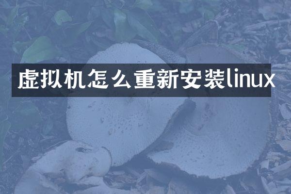 虚拟机怎么重新安装linux