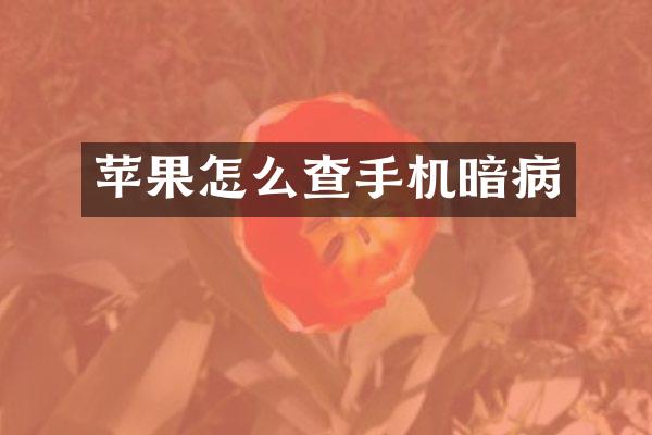 苹果怎么查手机暗病