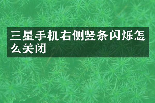 三星手机右侧竖条闪烁怎么关闭