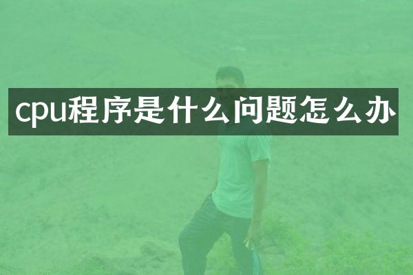 cpu程序是什么问题怎么办