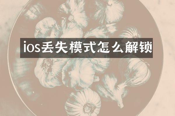 ios丢失模式怎么解锁