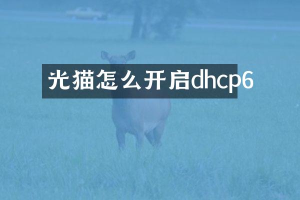 光猫怎么开启dhcp6